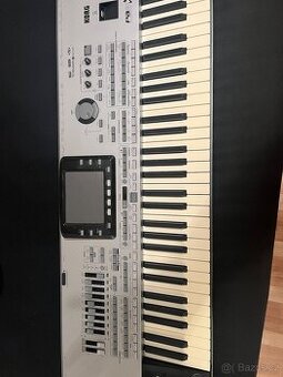 korg pa3x musikant - 1
