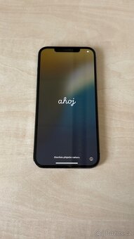 iPhone 12 Pro Max 256GB