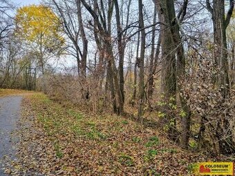 Rousínov - Čechyně, stavební parcela, 3 392 m2 – pozemek