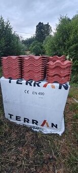 Terran Synus Evo korall