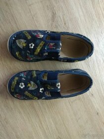 Papuče 31