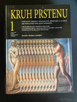 Kruh prstenu – 1. díl - Jaroslav Malina