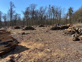 Prodám tvrdé palivové dřevo