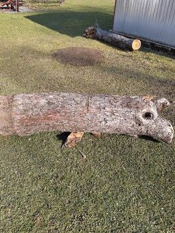 Prodej dřeva na uzení