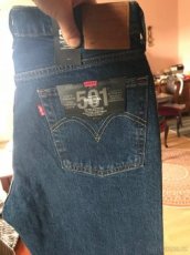 Levis 501 cropped - 1