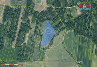 Prodej lesa, 32445 m², Jetětice