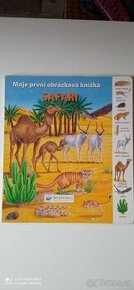 Safari - 1