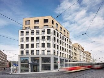 Pronájem sdíleného apartmánu 1+kk,17 m2, Praha 7 - Holešovic