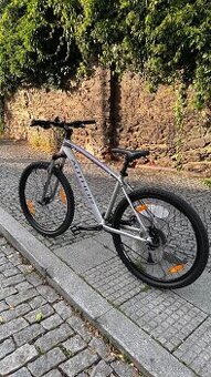 Kolo Author Pegas ASL Lady💥 Ram 18⚠️ Kola 27.5🛞