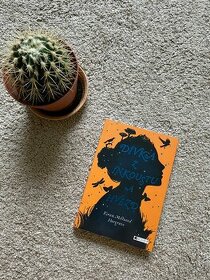 Dívka z inkoustu a hvězd