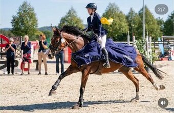 Top klisna do sportu