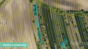 Pozemky 1 463 m² – Těmice u Hodonína (LV 411)