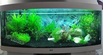 Akvárium Juwel Vision 450 l + originální stojan