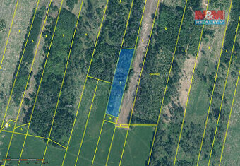 Prodej lesa, 4993 m², Jetětice