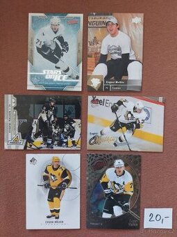 Pittsburgh Penguins - karty (17.4.2025)