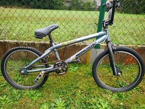 Kolo Mongoose