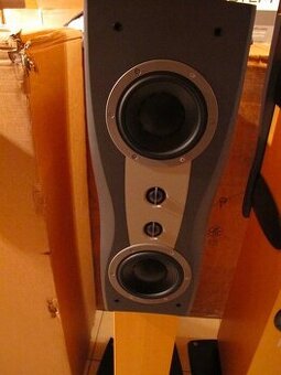 Dynaudio Confidence C2 High End Standlautsprecher v Ahornu