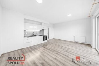 Pronájem, byty/1+kk, 35.7 m2, U Pondu 384, Vlkýš, 33024 Heřm