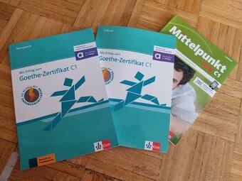 Mit Erfolg zum Goethe-Zertifikat C1 - Übungsbuch