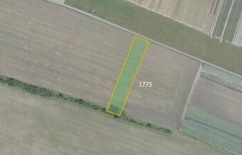 Zemědělská půda, prodej, Semice, Nymburk - 1