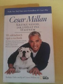 Krátký návod, jak udělat psa šťastným