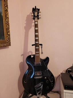 Kytara DAngelico Premier USA