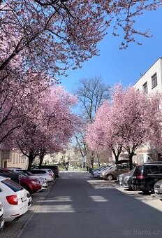Pronájem prostor - služby péče o tělo centrum Zlín