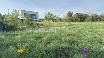 Prodej pozemku pro bydlení, 1 003 m2 - Březnice, ev.č. 02216