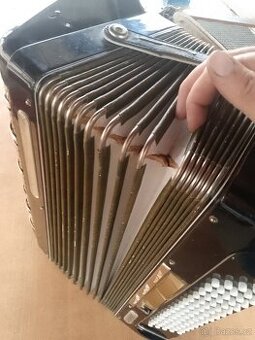 Harmonika DELÍCIA