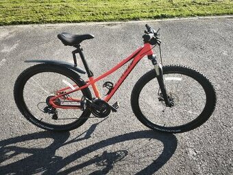 Kolo Specialized velikost rámu xs