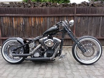 Harley Davidson Stavba Big Dog Kraft USA