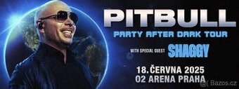 Pitbull VIP Klubové patro s rautem