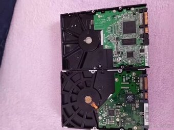 Pevný disk