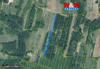 Prodej lesa, 13685 m², Jetětice