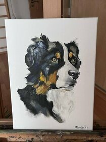 Obraz olejomalba na plátně český horský pes, 30x40 cm - 1