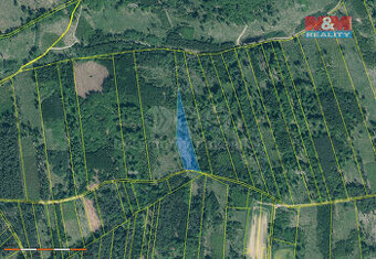 Prodej lesa, 7736 m², Jetětice