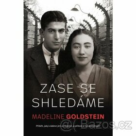 Madeleine Goldstein - Zase se shledáme