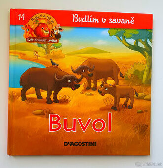 Bydlím na savaně.Buvol.