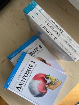Anatomie Čihák