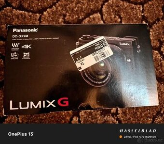 Panasonic Lumix DC-GX9M + Záruka Alza (6 měsíců) - 1