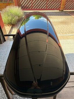 Thule Motion 800