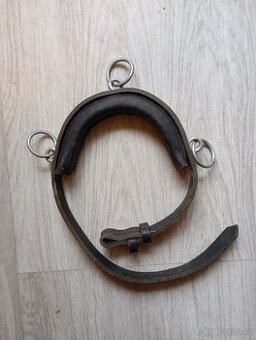 Obnosek pony