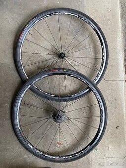 Fulcrum Racing 7 (zapletená kola), pláště Sworks.