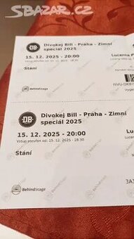 2x lístek na koncert Divokej Bill, Zimní speciál 2025