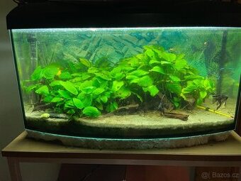Akvárium 60x25x30 cm