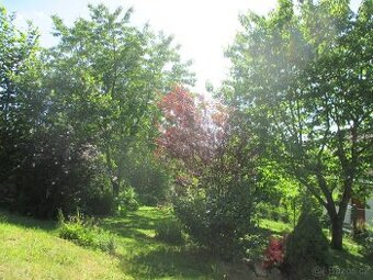 pronájem chaty k rekreaci