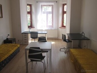 Pronájem 1 lůžkového pokoje - Jihlava