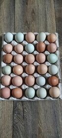 Domácí vejce čerstvé