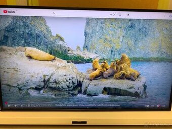 Samsung QB43B displej 43” 4K