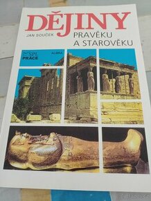 Dejiny pravěku a starověku